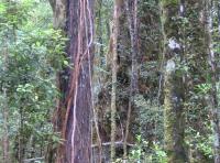 Albums/20060200-New Zealand 2006/20060207-South to Fox/25